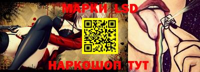 прущие грибы Кандалакша