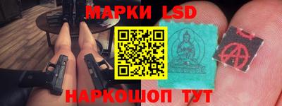 прущие грибы Кандалакша