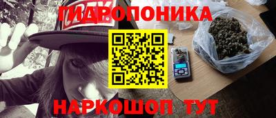 дживик Камышлов