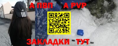 прущие грибы Кандалакша