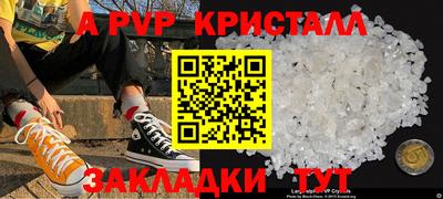 прущие грибы Кандалакша