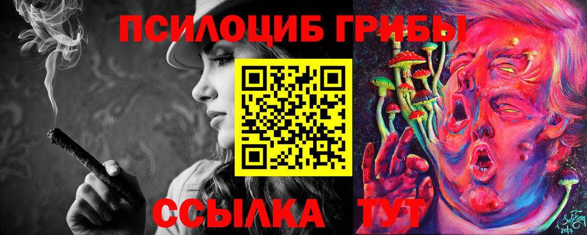 Кузнецк  Галлюциногенные грибы мицелий  Вход с VPN  Галлюциногенные грибы Magic Shrooms 