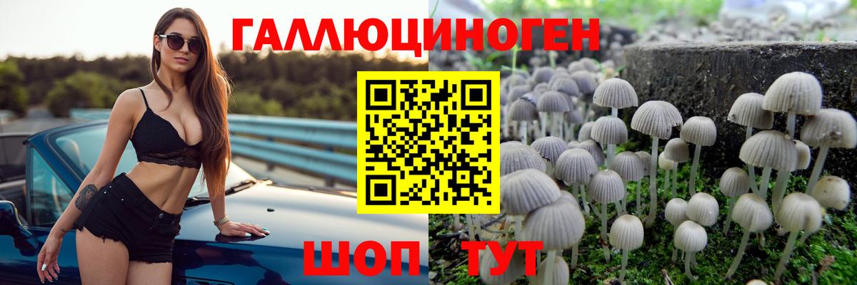 Псилоцибиновые грибы мицелий Кузнецк